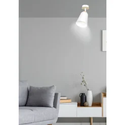 Emibig Taklampa Atlas Stål Vit | Passande för 1x E27 - Max 15W