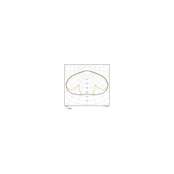 Ledvance LED Gatubelysning Area Urban Lykta Svart 59W 4730lm 145D - 830-840 CCT | IP66 - Symmetrisk
