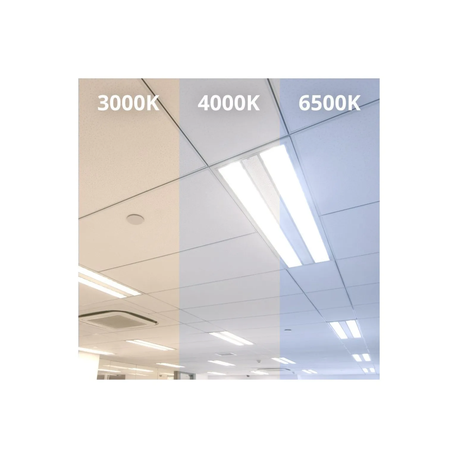 Noxion LED Rör T8 Avant (EM/Mains) Standard Output 19W 2300lm - 830 Varm Vit | 150cm - Ersättare 58W