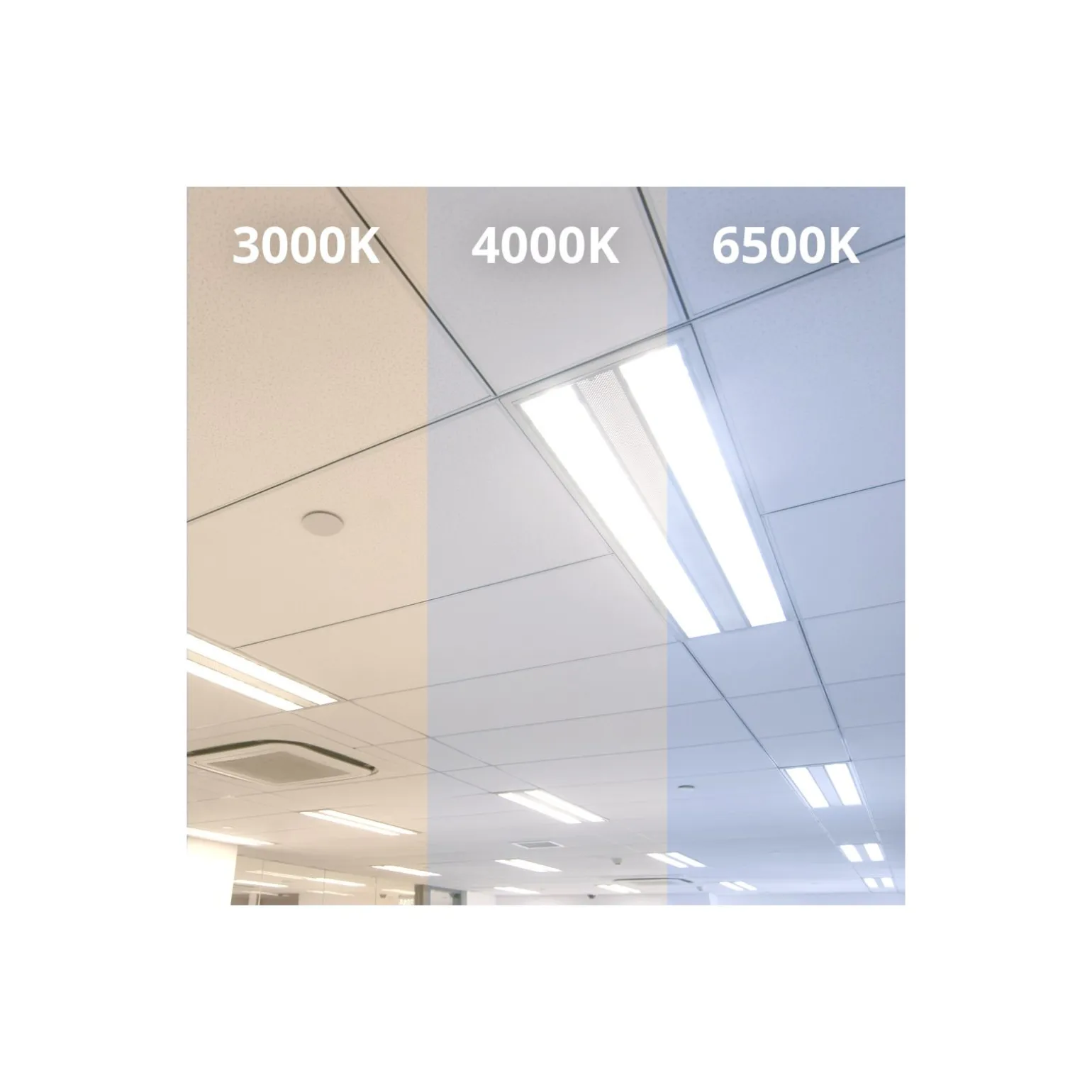Noxion LED Rör T8 Avant Extreme (EM/Mains) High Output 8.2W 1150lm - 840 Kallvit | 60cm - Ersättare 18W