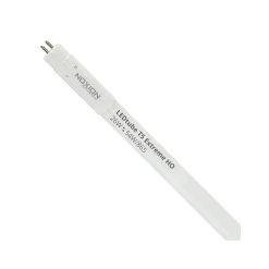 Noxion LED Rör T5 Avant Extreme (Mains AC) High Output 26W 3900lm - 865 Dagsljus | 115cm - Ersättare 54W