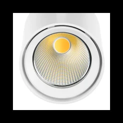 Noxion LED Spårbelysning 3-Fas Spot Stella Vit 24W 2000lm 50D - 930 Varm Vit | UGR <19 - Bästa Färgåtergivning