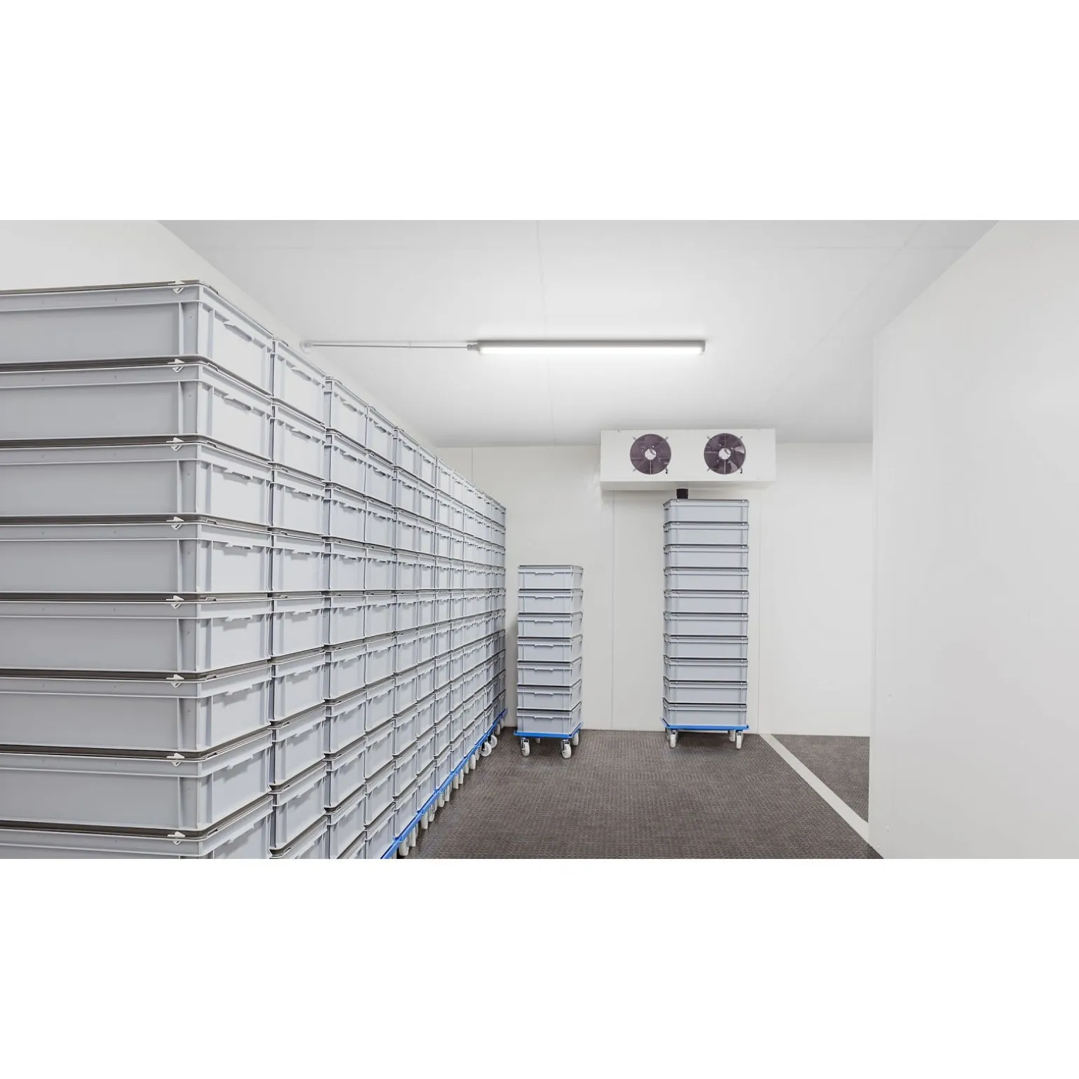Philips LED Allmänbruksarmatur Vattentät Ledinaire WT065C 30/53W 4100/6800lm - 840 Kallvit | 150cm - Kabelgenomföring