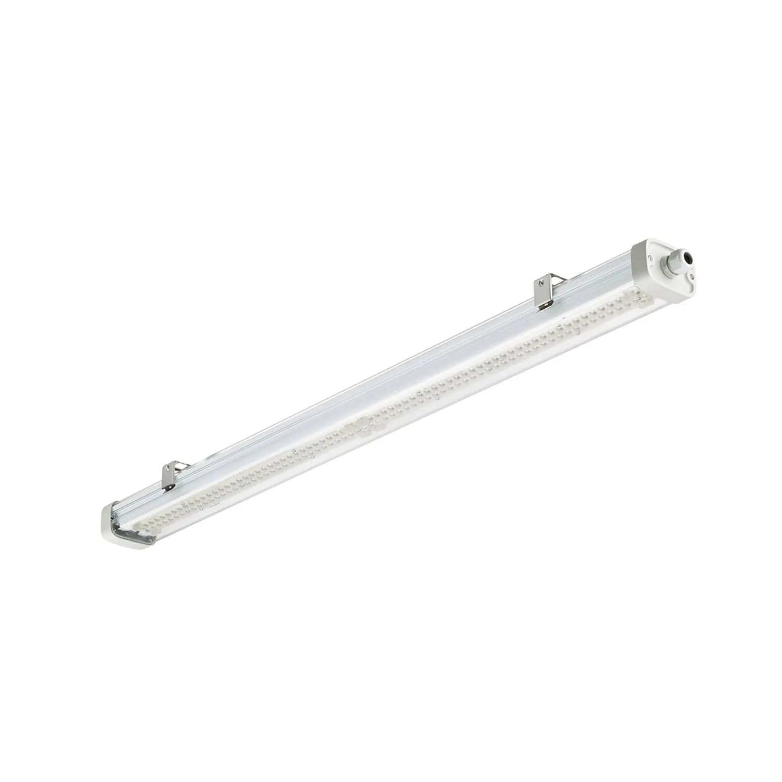 Philips LED Allmänbruksarmatur Vattentät Pacific WT475C 55W 7200lm - 840 Kallvit | 120cm - Dali Dimbar