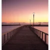 Philips LED gatubelysning Lykta City Charm Kon BDS490 Grå 61W 6480lm 360D - 730 Varm Vit | IP66 - Symmetrisk