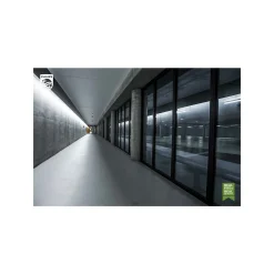 Philips LED Rör T8 CorePro (EM/Mains) High Output 8W 900lm - 840 Kallvit | 60cm - Ersättare 18W