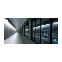 Philips LED Rör T8 MASTER (EM/Mains) Ultra Output 14.7W 2500lm - 840 Kallvit | 120cm - Ersättare 36W