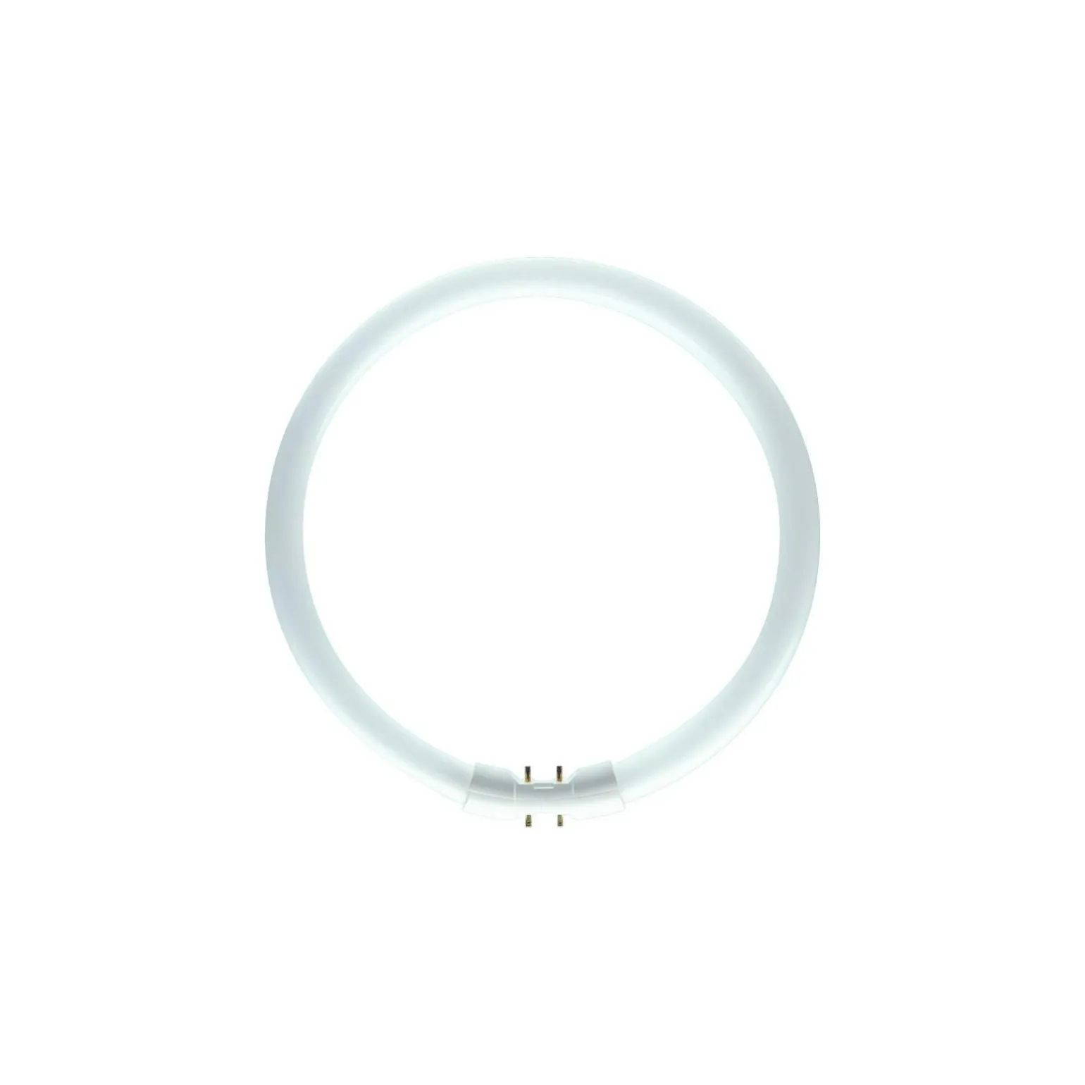 Philips MASTER TL5C Cirkulär 60W - 840 Kallvit | 38cm