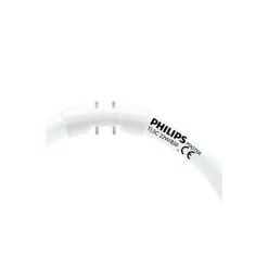 Philips MASTER TL5C Cirkulär 22W - 830 Varm Vit | 22cm