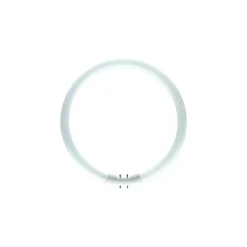 Philips MASTER TL5C Cirkulär 22W - 830 Varm Vit | 22cm