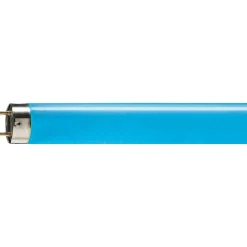 Philips MASTER TL-D 58W - Blå | 150cm