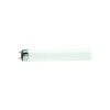 Philips MASTER TL - D 58W - 79 Food | 150cm