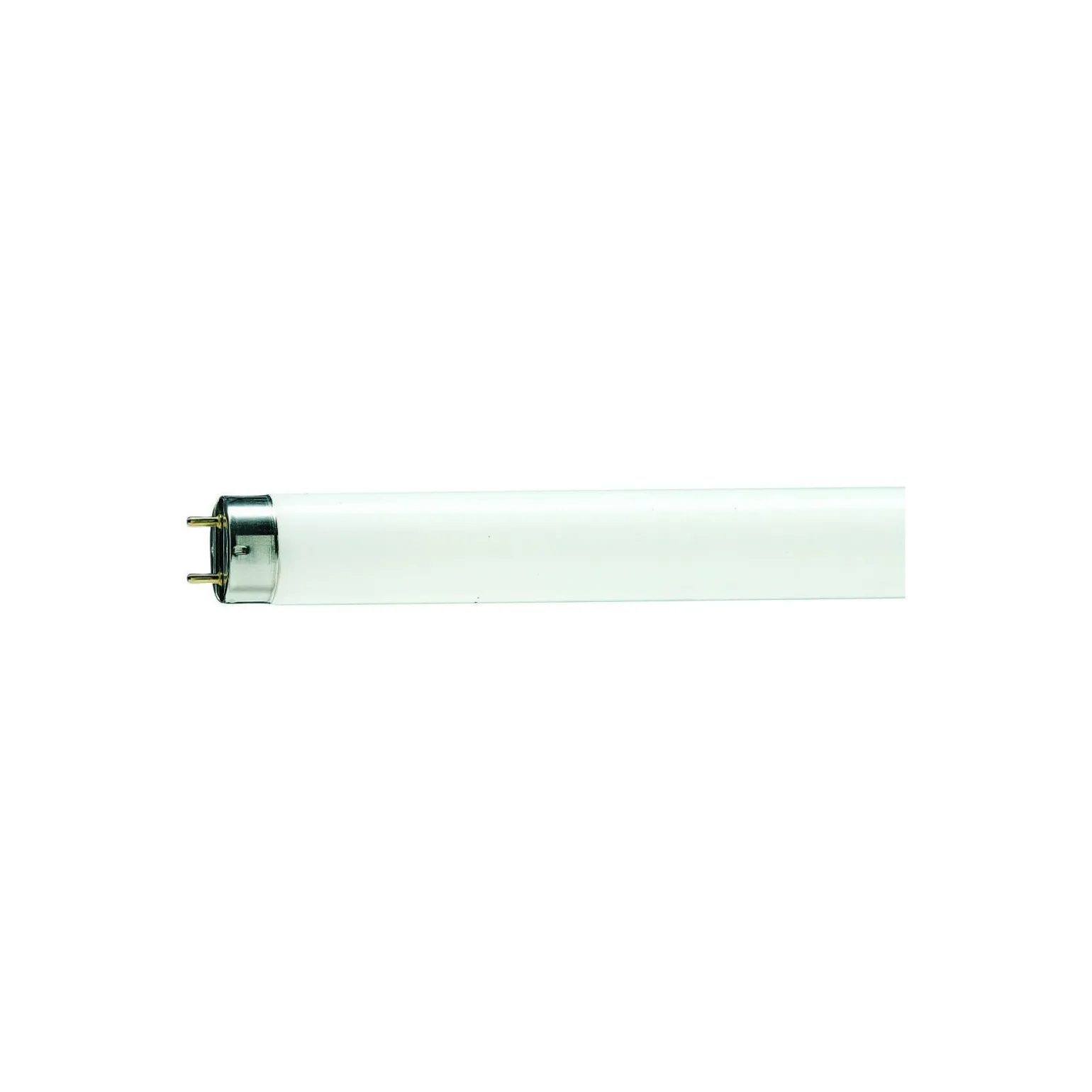Philips MASTER TL - D 58W - 79 Food | 150cm