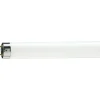 Philips MASTER TL - D 18W - 79 Food | 60cm