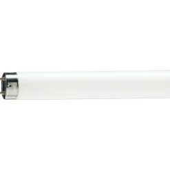 Philips MASTER TL - D 18W - 79 Food | 60cm