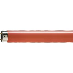 Philips MASTER TL-D 58W - Röd | 150cm