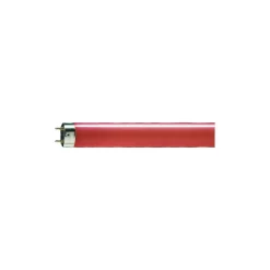 Philips MASTER TL-D 36W - Röd | 120cm