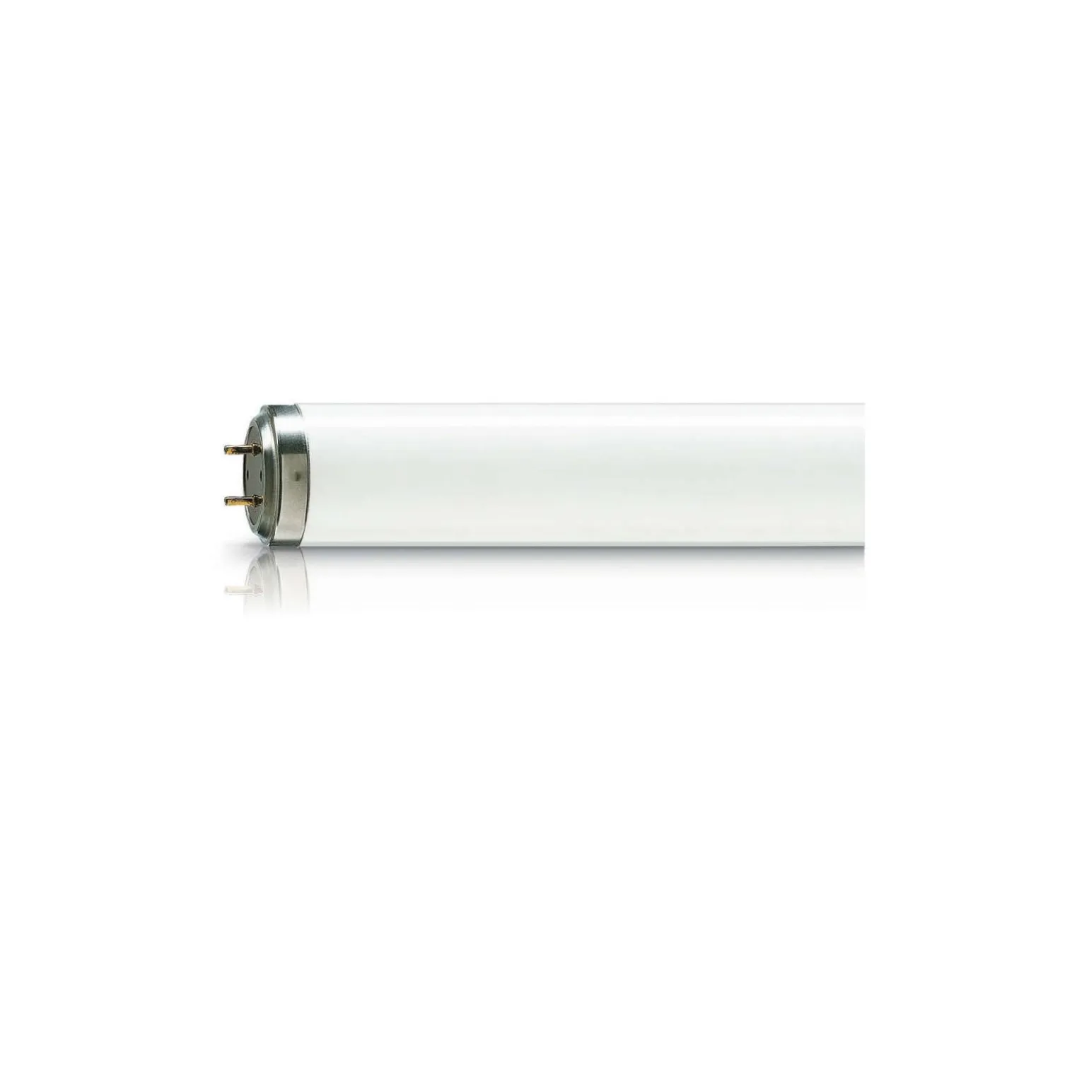 Philips TL-DK 36W - Blacklight | 60cm - Insectkiller