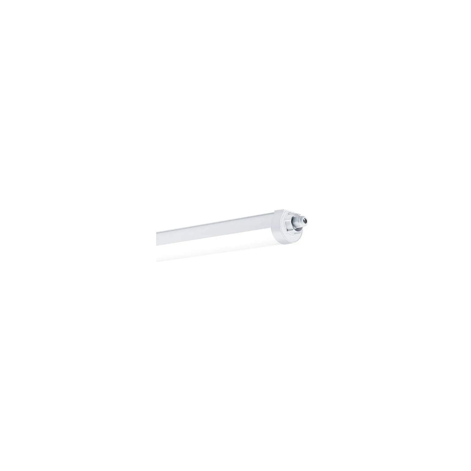 THORNeco LED Allmänbruksarmatur Vattentät Lucy 16.5W 2000lm - 840 Kallvit | 60cm - Kabelgenomföring