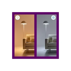 WiZ Smart LED E27 Päron Filament Matt 19W 2452lm | Bästa Färgåtergivning - Dimbar - Ersättare 150W